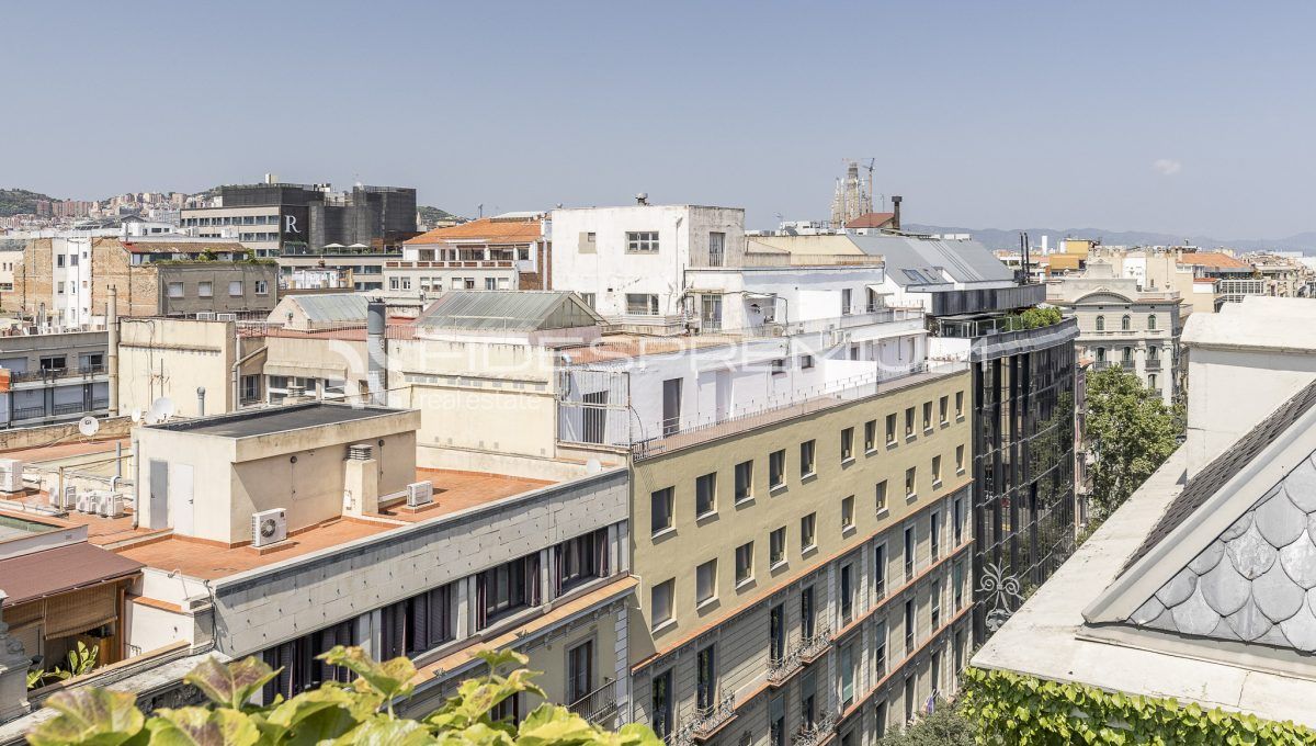 paseogracia305dbaja-1-53