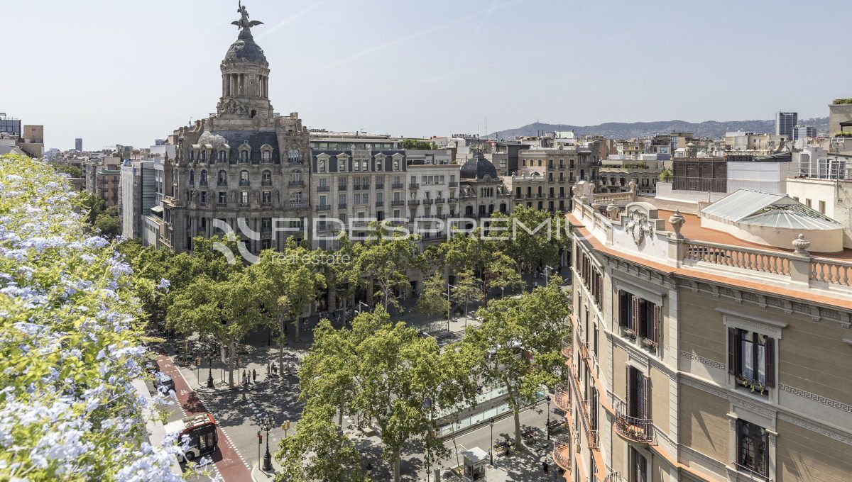 paseogracia305dbaja-1-54